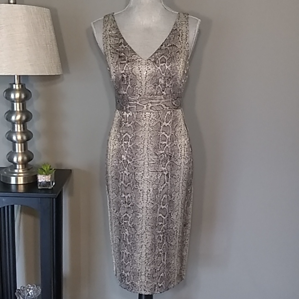 ISDA & Co dress - Picture 1 of 6
